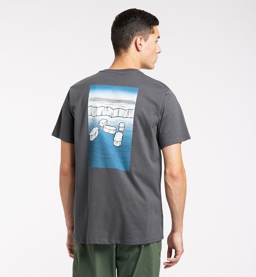 Haglöfs Mens Camp T-Shirt Black New Zealand 53210QJIA